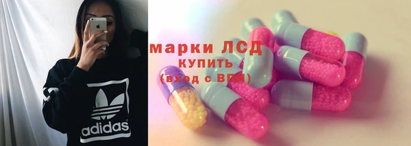 спиды Гусев