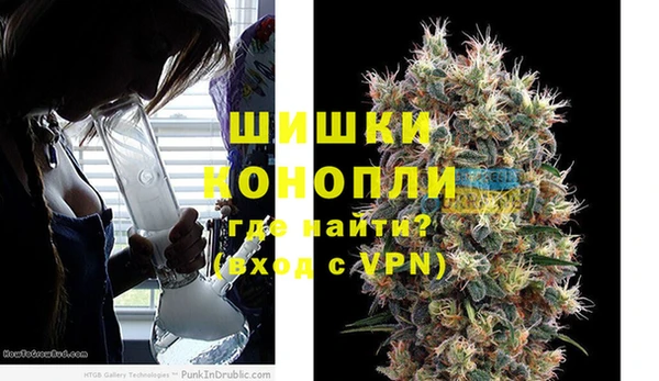 спиды Гусев