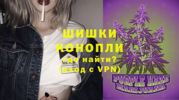 mdpv Гусь-Хрустальный