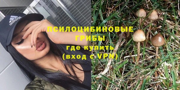 mdpv Гусь-Хрустальный