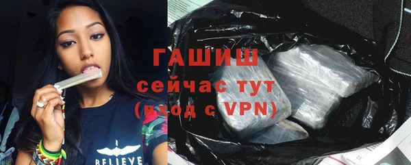 спиды Гусев