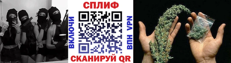 Купить где  Жирновск  Каннабис планчик 